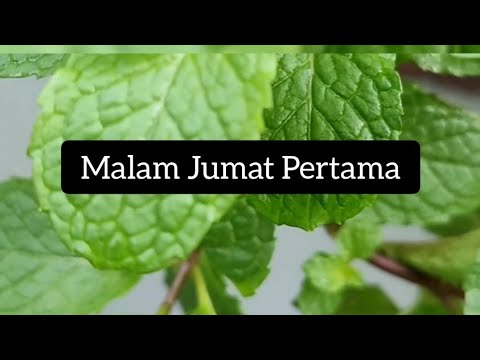 ASMR Malam Jumat