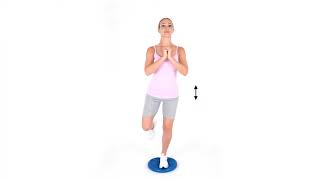 Wobble Cushion Dyna Disc Single Leg Squat