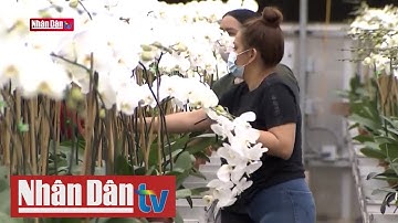 Tin tức quốc tế sáng ngày 12-2-2022