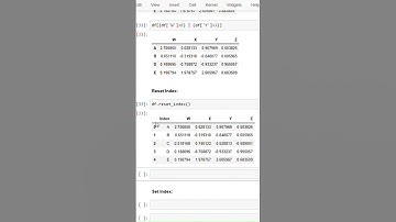 How to Reset Index in a Python Dataframe | Mar 2025