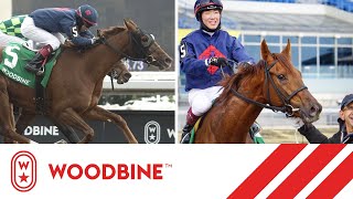 2019 South Ocean Stakes Woodbine, November 16, 2019 - Race 3