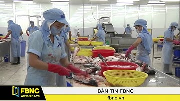 Vasep kiến nghị đối thoại trực tiếp về nghị định cá tra