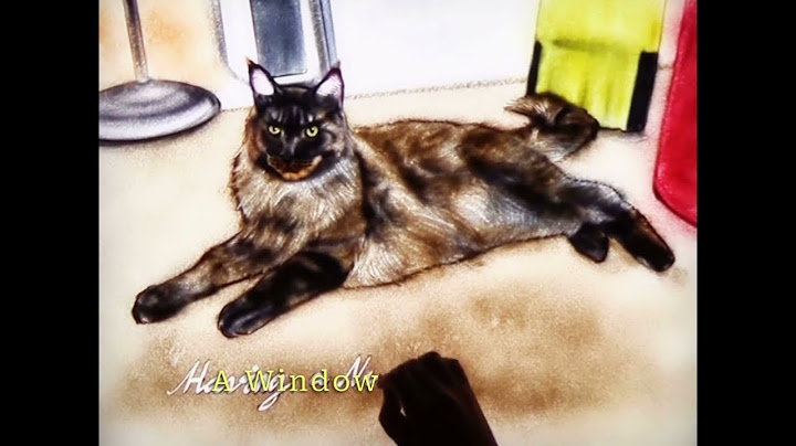 Guarda questo splendido ritratto di gatto che prende vita!