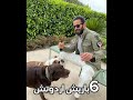 اوسم 8 ممثلين في تركيا حسب الذكاء الاصطناعي