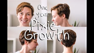 Pixie Growth - 1 Year Time Lapse