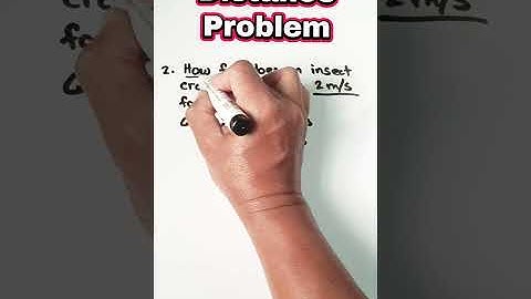 Problem Solving: Speed, Distance, and Time