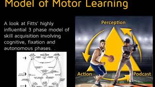 129 – The Legacy of Paul Fitts II: A Three Stage Model of Motor Learning