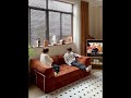 おしゃれ自由自在✨モジュールソファベッド#sofa #sofabed #shorts #おうち時間
