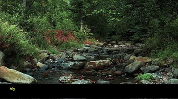 Biodiversity of Benthic Macroinvertebrates and Water Quality of the Boufekrane River, Meknes Morocco