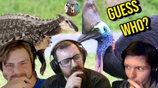 Dinosaur Guess who!? 2 | Here we go again!