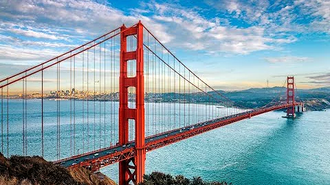Bridging the Clinical and Technology Gap in Teleme...