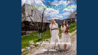Să-mi pun în grădină un măr