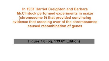 Genetics Ch07 Crossing Over and Mapping Video