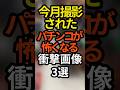 9月に撮影されたパチンコ、スロットが怖くなる衝撃画像3選 #パチンコ#スロット#スマスロ#パチスロ#スマパチ #デカヘソ#ラッキートリガー