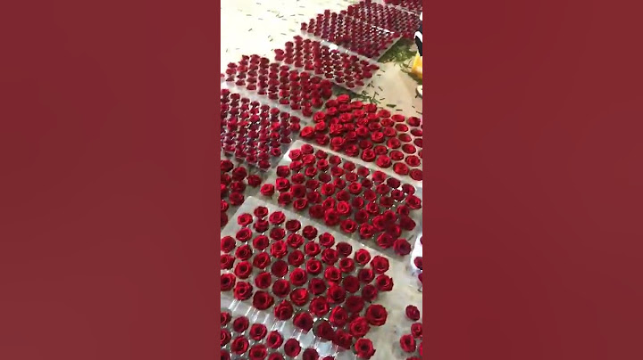 Preserving process of rose