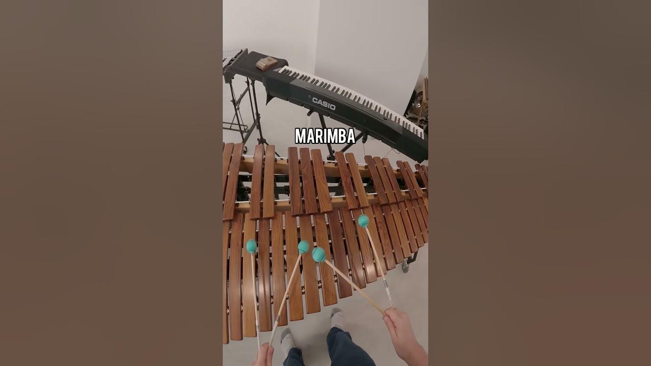 Making Phone Sounds in Real Life! #music #phone #sound