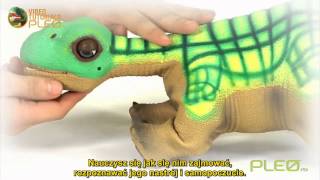 PLEO rb - Quick Start - napisy pl