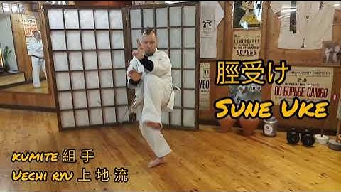 脛受け Sune Uke / kumite 組 手 Uechi ryu karate combinations (jiyu kumite) 龍敏道場 Ryubin dojo 上 地 流