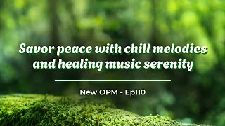 Frozen in Love 🎶 Savor peace with chill melodies and healing music serenity ☕ Ep110