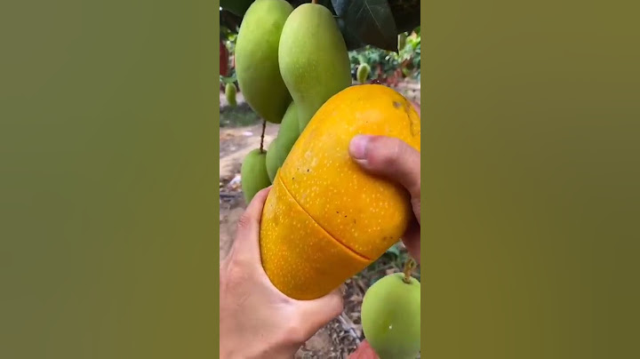 How To Cut | Fresh Fruit Cutting In My Farm