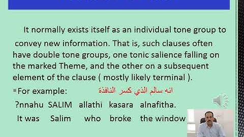 Rheme and Theme in Arabic