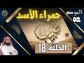 الحبيب الموسم 2 الحلقة الثامنة عشر 18 حمراء الأسد إصرار رغم الألم وخروج رغم الجراح 