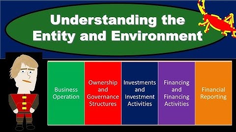 Understanding the entity and it