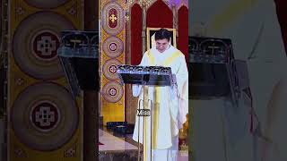 💫Padre Riginaldo Manzoti 💫 São  Pio  💫 #padrepio #videos #shorts #short #fe #fe #catolicos 