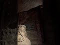 Hidden Dwarf of the Salt Mine? 🧂⛏️