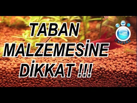 Video: Akvaryumunuz Için Bitkiler Nasıl Seçilir