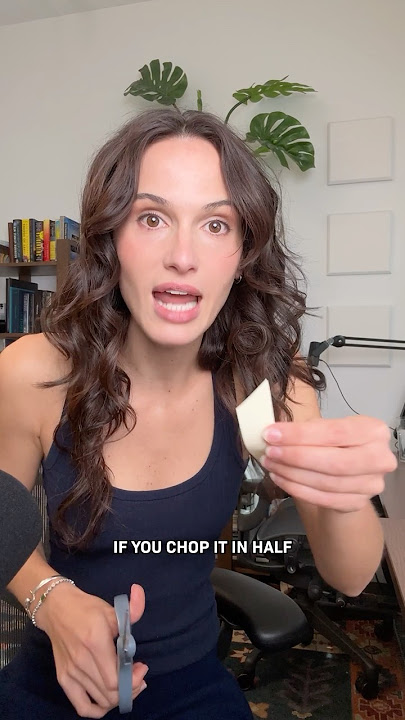 Download lagu This Animal Can Live Forever