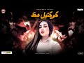 كوكتيل حظ الزعيمه رودي Rodyتوزيع عبسلام لعشاق الروقان مولد هيكسر السماعات كوكتيل حظ الزعيمه رودي Rodyتوزيع عبسلام لعشاق الروقان مولد هيكسر السماعات