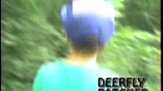 Information Deerfly Patches in Use Guide
