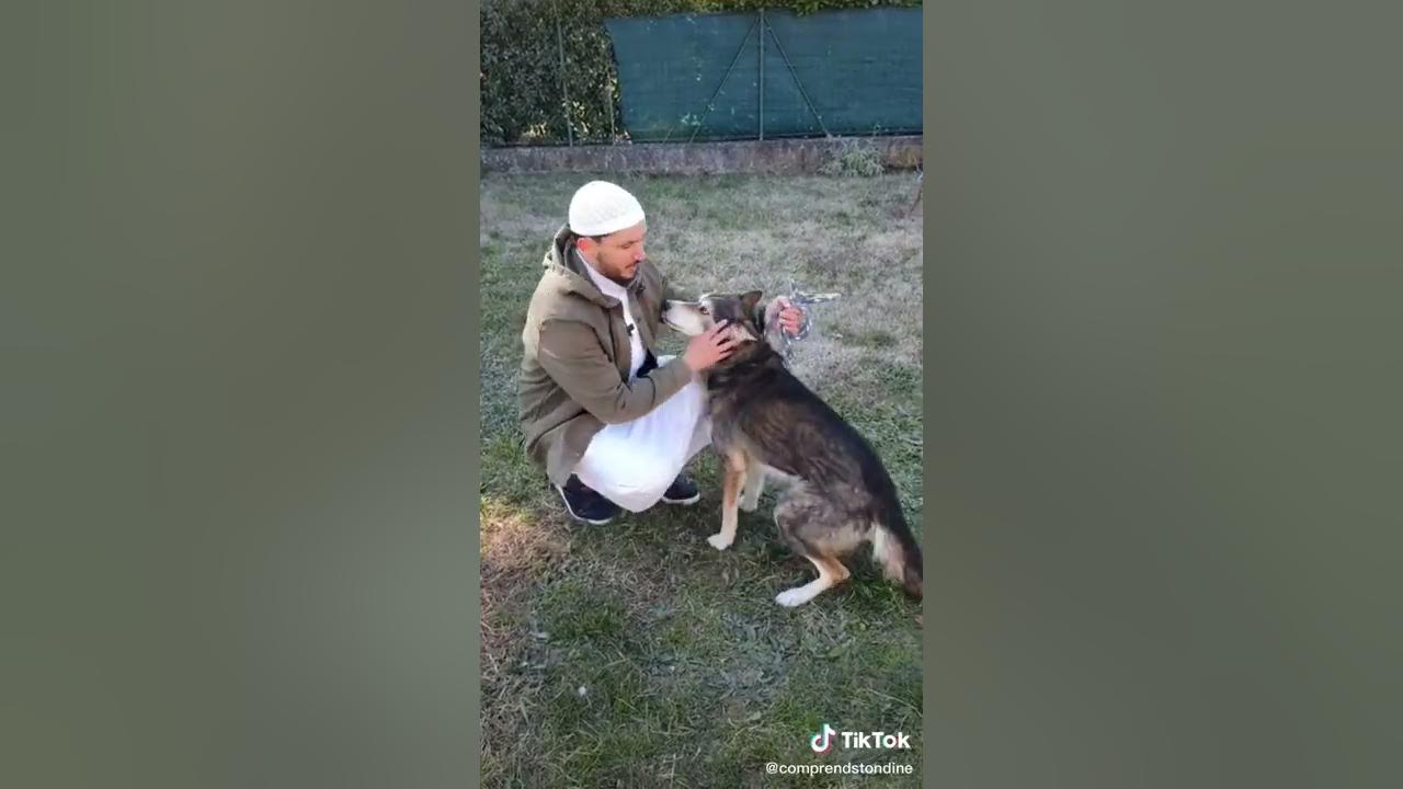 LE CHIEN FAIT IL RÉELLEMENT PERDRE LES ABLUTIONS ? YouTube