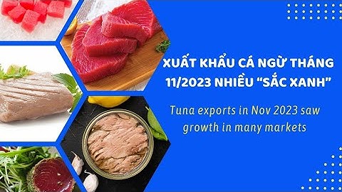 VASEP Highlight - T12/2023: Xuất khẩu cá ngừ tháng 11/2023 nhiều “sắc xanh”