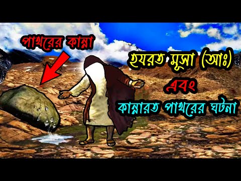 ভিডিও: একটি প্ল্যাকার্ড বাহন কি?