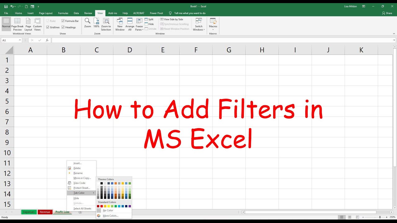 How to add filters in MS Excel - YouTube