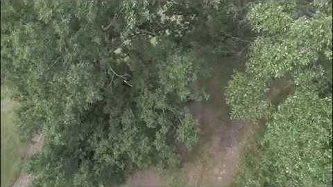 Yuneec RealSense Object Avoidance on Typhoon H & H Plus - Does it work?