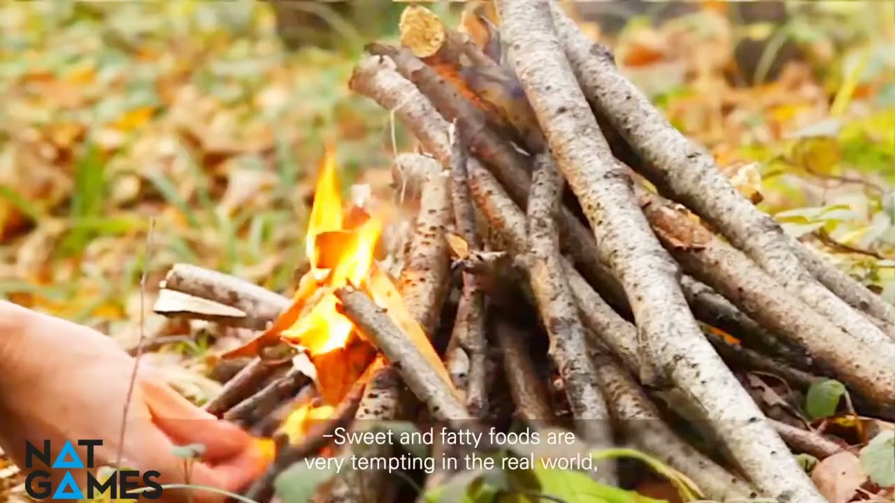 Nat games Project Dx Wildlands 2 trailer