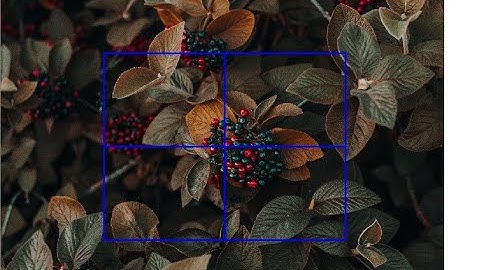 Draw Region of Interest ROI on an Image in OpenCV with Python
