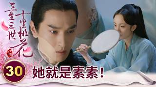 失而復得!找了300年的心上人 就是那個從未露過面的未婚妻!【三生三世十里桃花】精華 EP30-4 楊冪、趙又廷、迪麗熱巴、高偉光、張智堯 @ctvdrama_classic