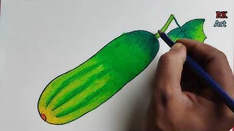 How to Draw a Cucumber (The Ultimate Guide)
