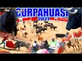 CORRIDA DE TOROS - Aniv CURPAHUASI 2021 / Arturo Huayhua