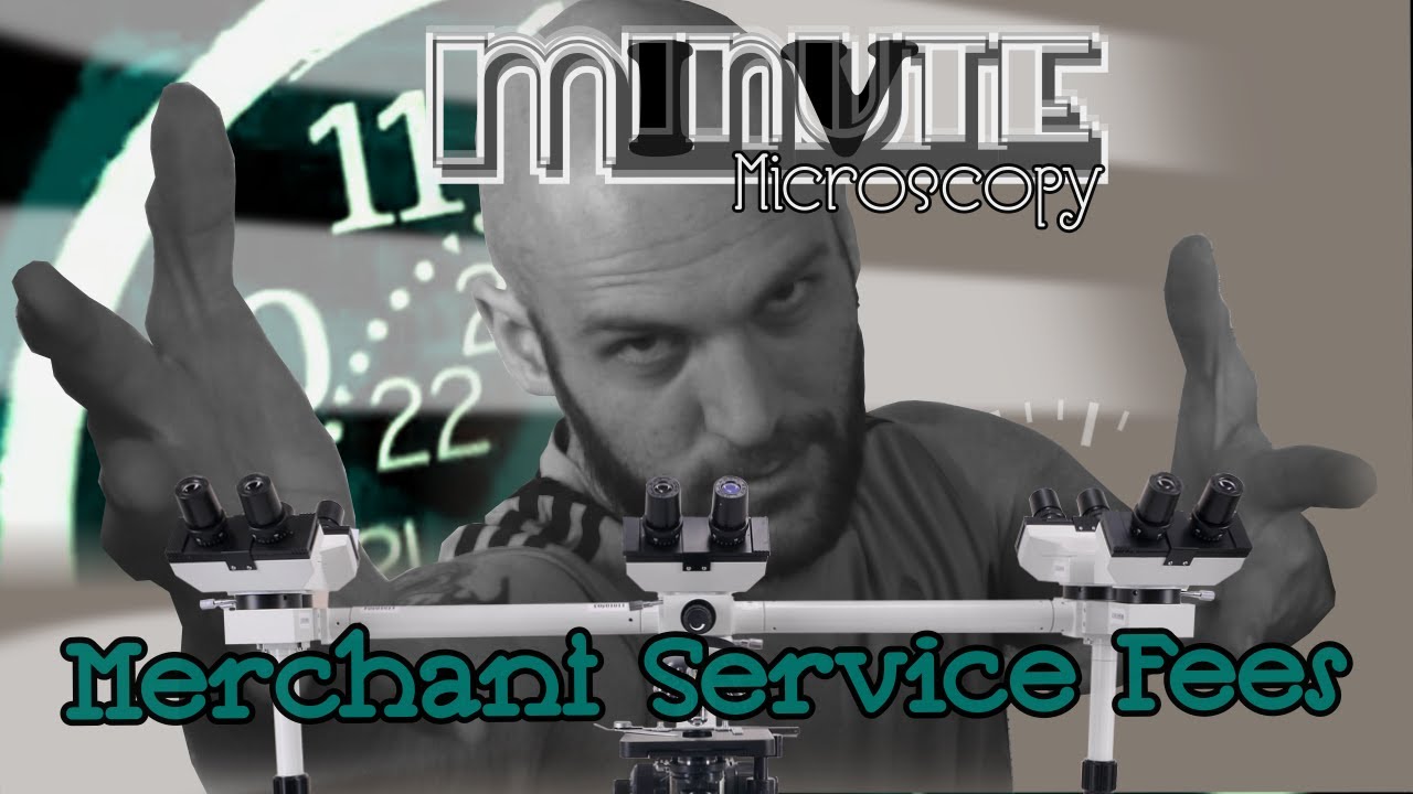 Merchant Service Fees | MM 0172 | Passing On Fees is Shady