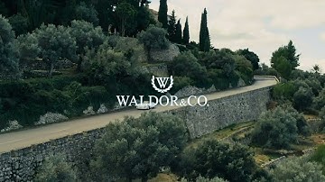 Waldor & Co. Introducing the Chrono 39 Porto Cervo Ltd. Edition