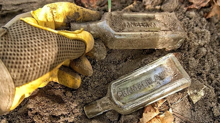 Treasure Hunting Maniac Desperately Digs BIG Holes...