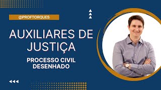 Auxiliares de Justiça | Processo Civil Desenhado