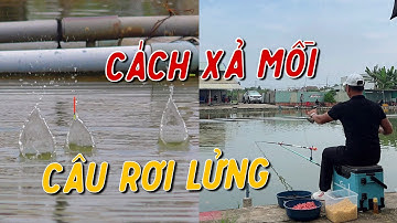 Cách Xả Mồi Câu Rơi Lửng Trắm Đen