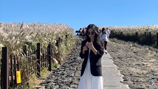 [TRAVEL] 제주도 여행🍊제주도 인생샷 | 제주 갈 곳 추천 | 에코랜드 테마파크 | 섭지코지 | 산굼부리 🌾