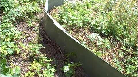 TranslocatingReptiles.AVI